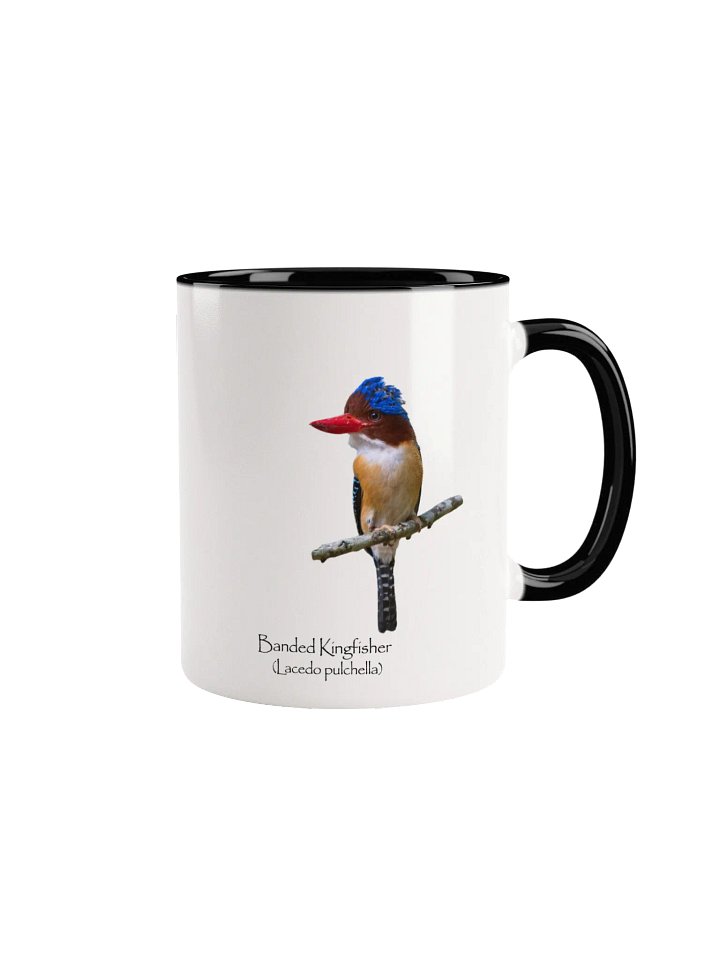 Banded Kingfisher mug product image (1)
