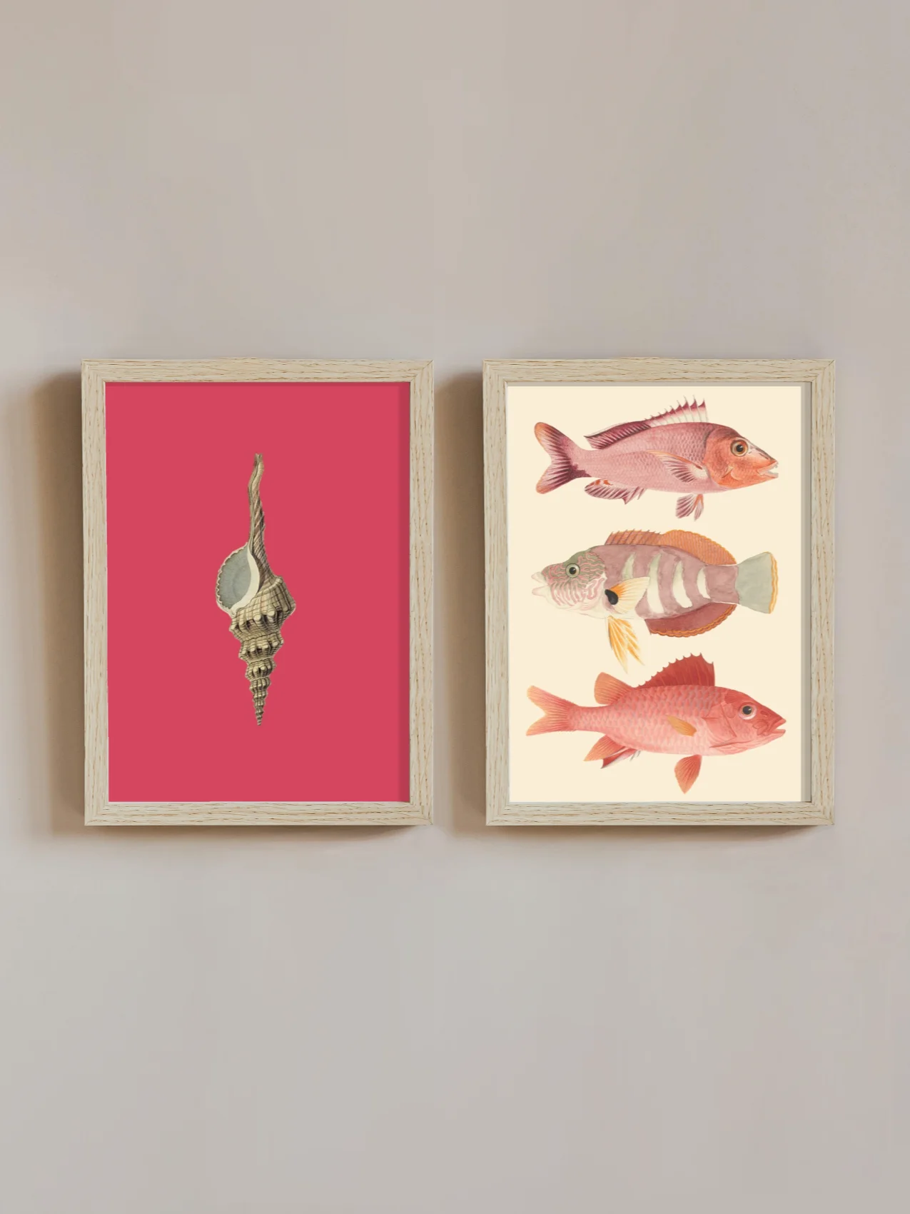 Shell and pink fishes product image (1)