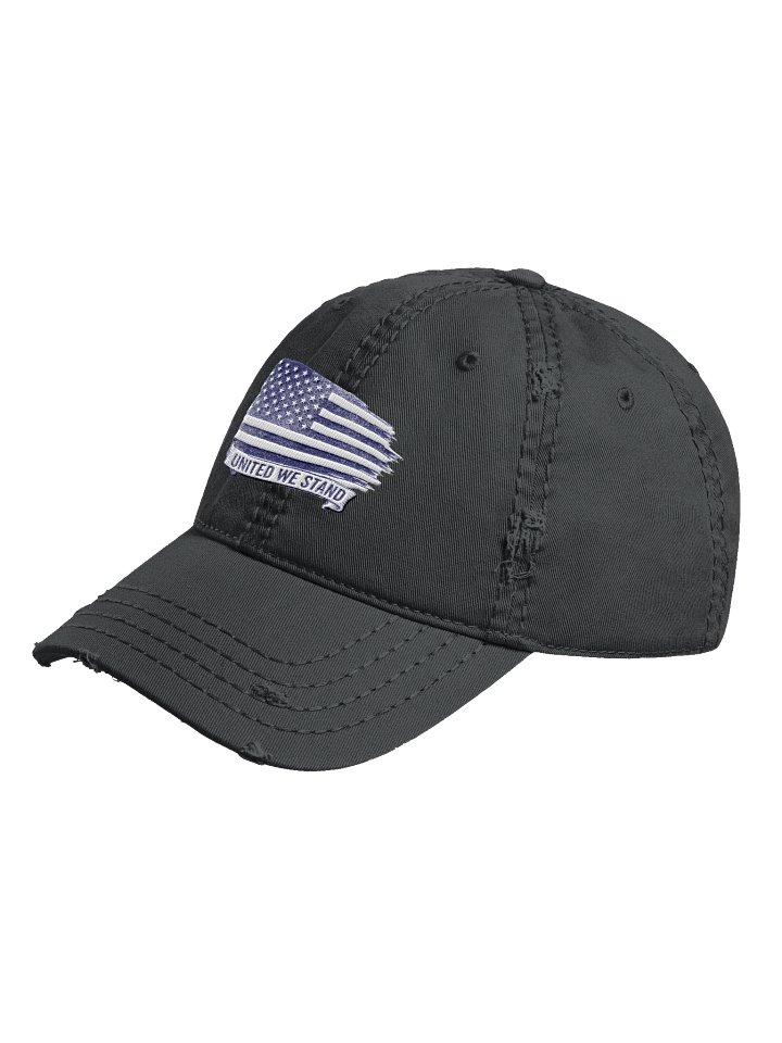 United We Stand - Distressed Cap product image (2)