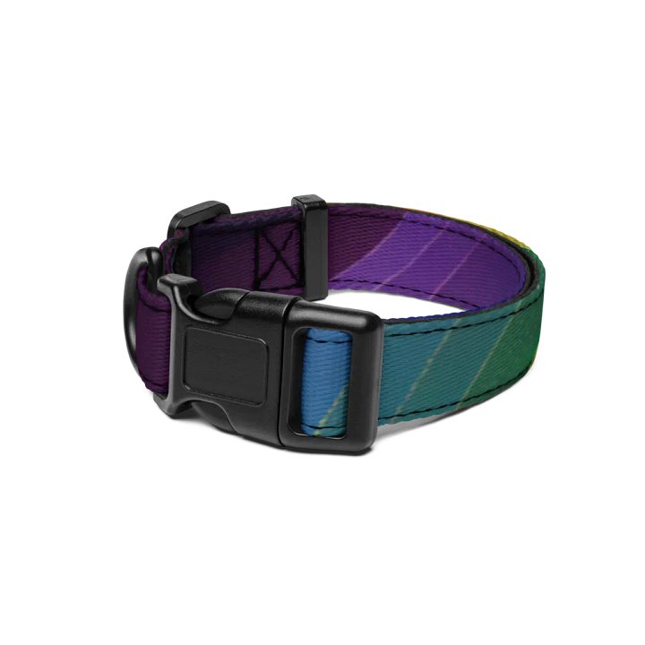 Rainbow Dog Collar product image (1)