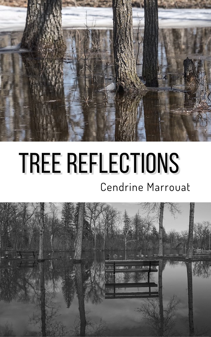 Tree Reflections product image (1)