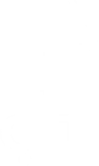 Flipiris