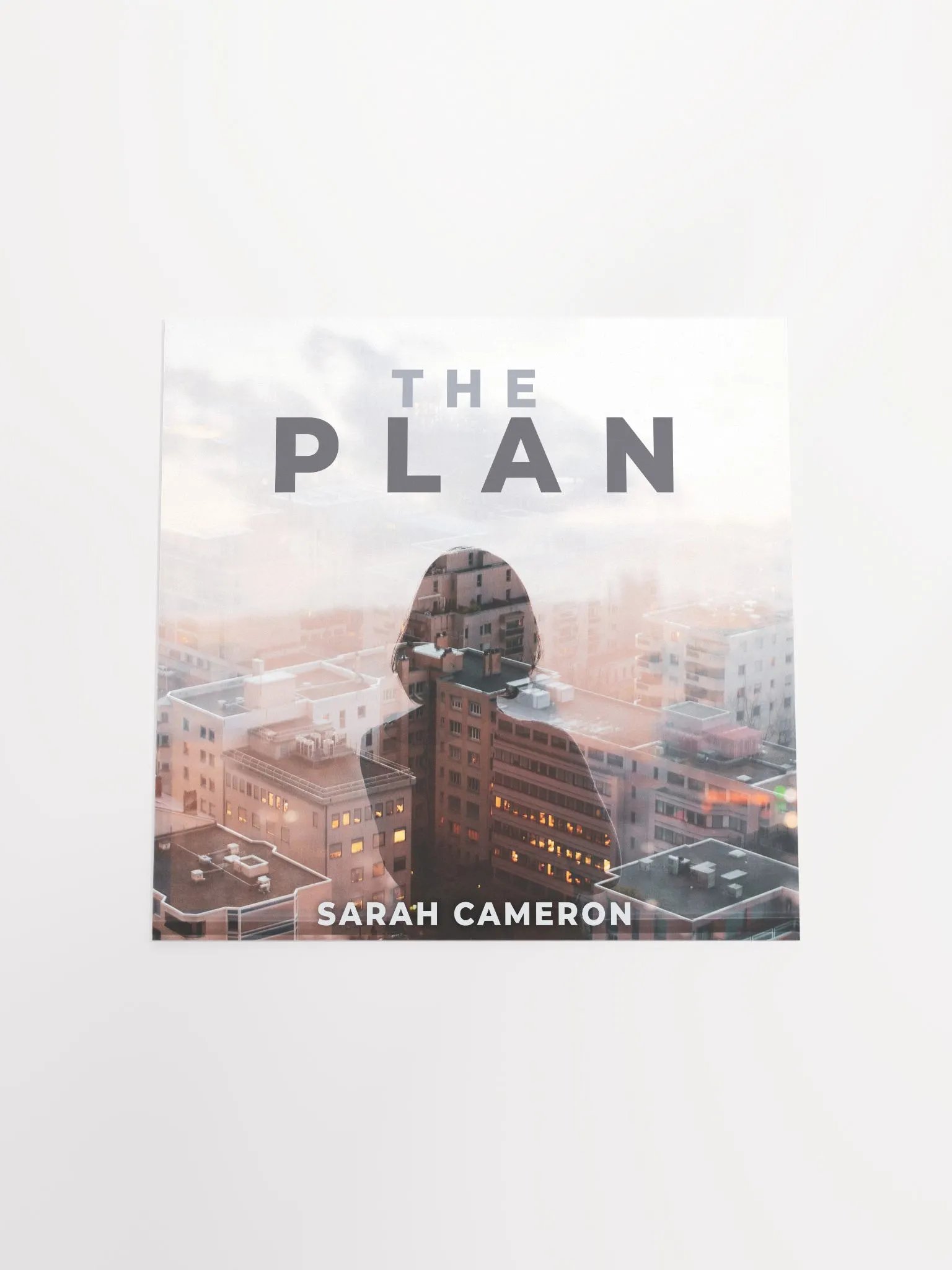 The Plan Poster product image (4)