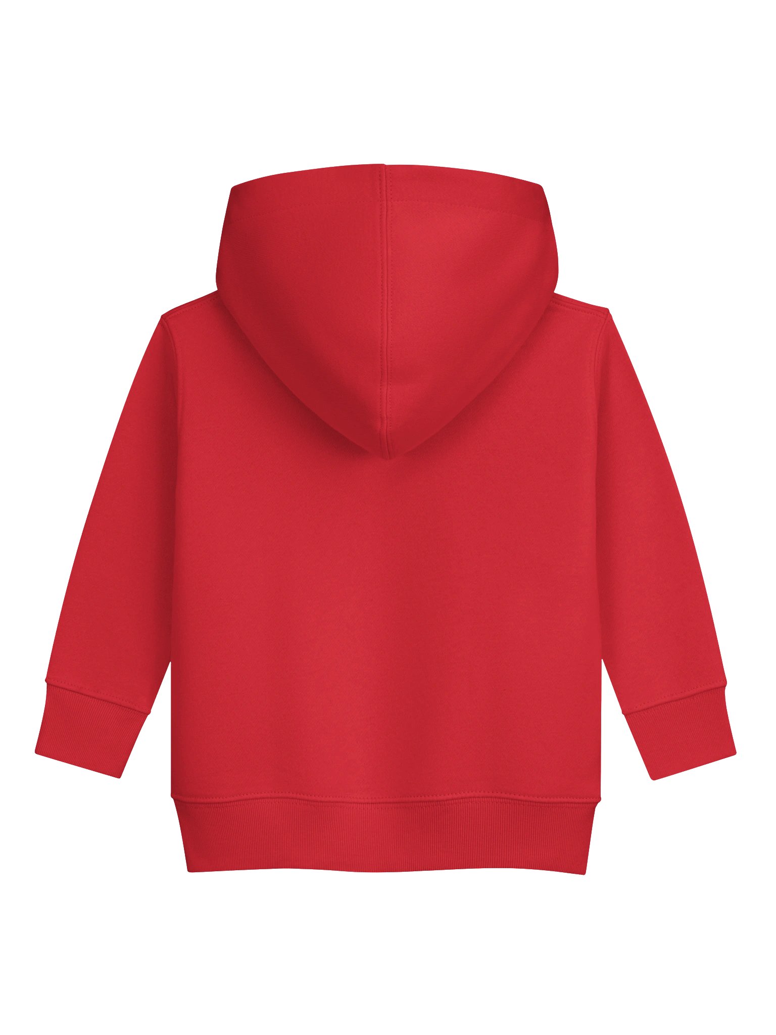 Bug Band Toddler Digital Print Hoodie  product image (2)