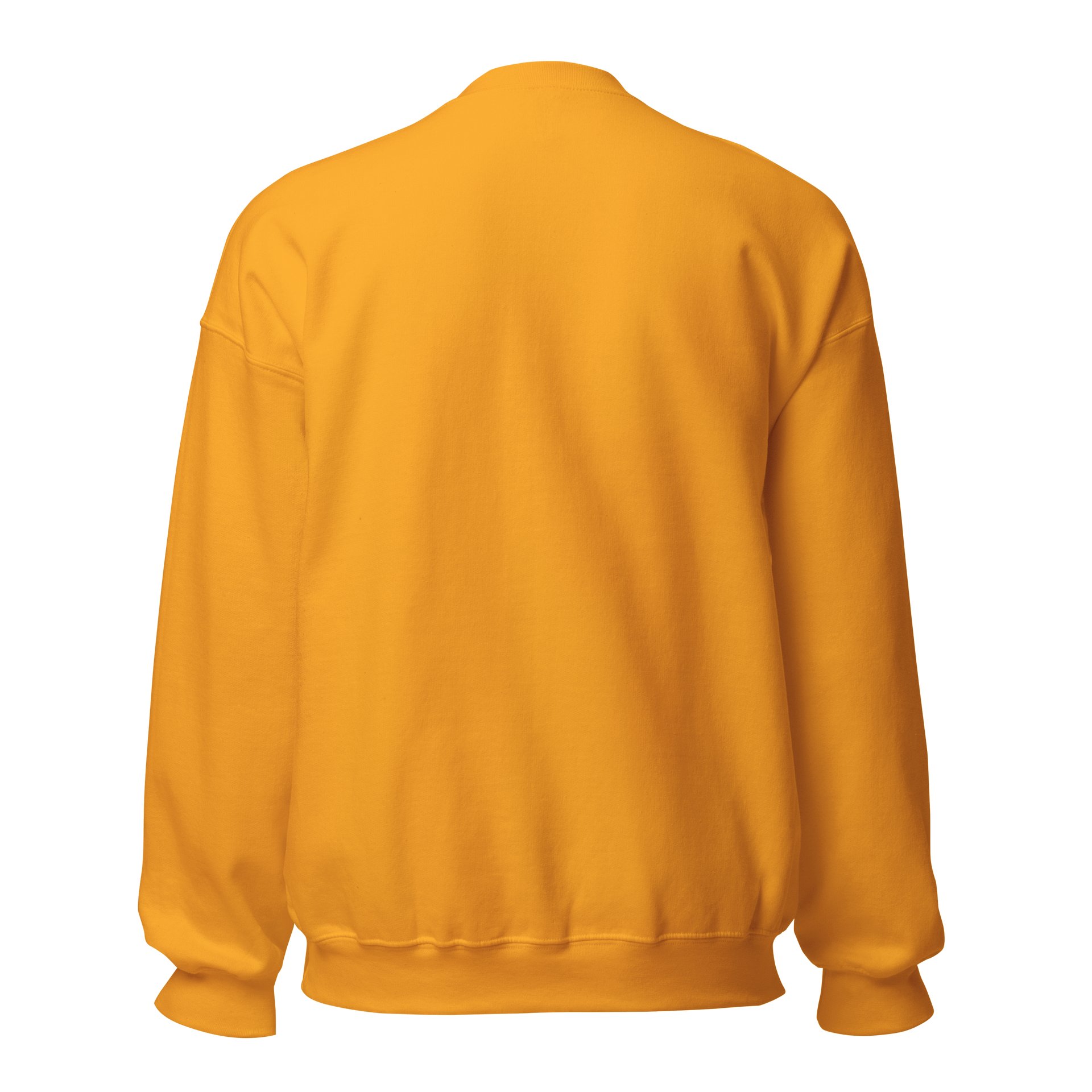 This is my shart classic sweatshirt product image (23)