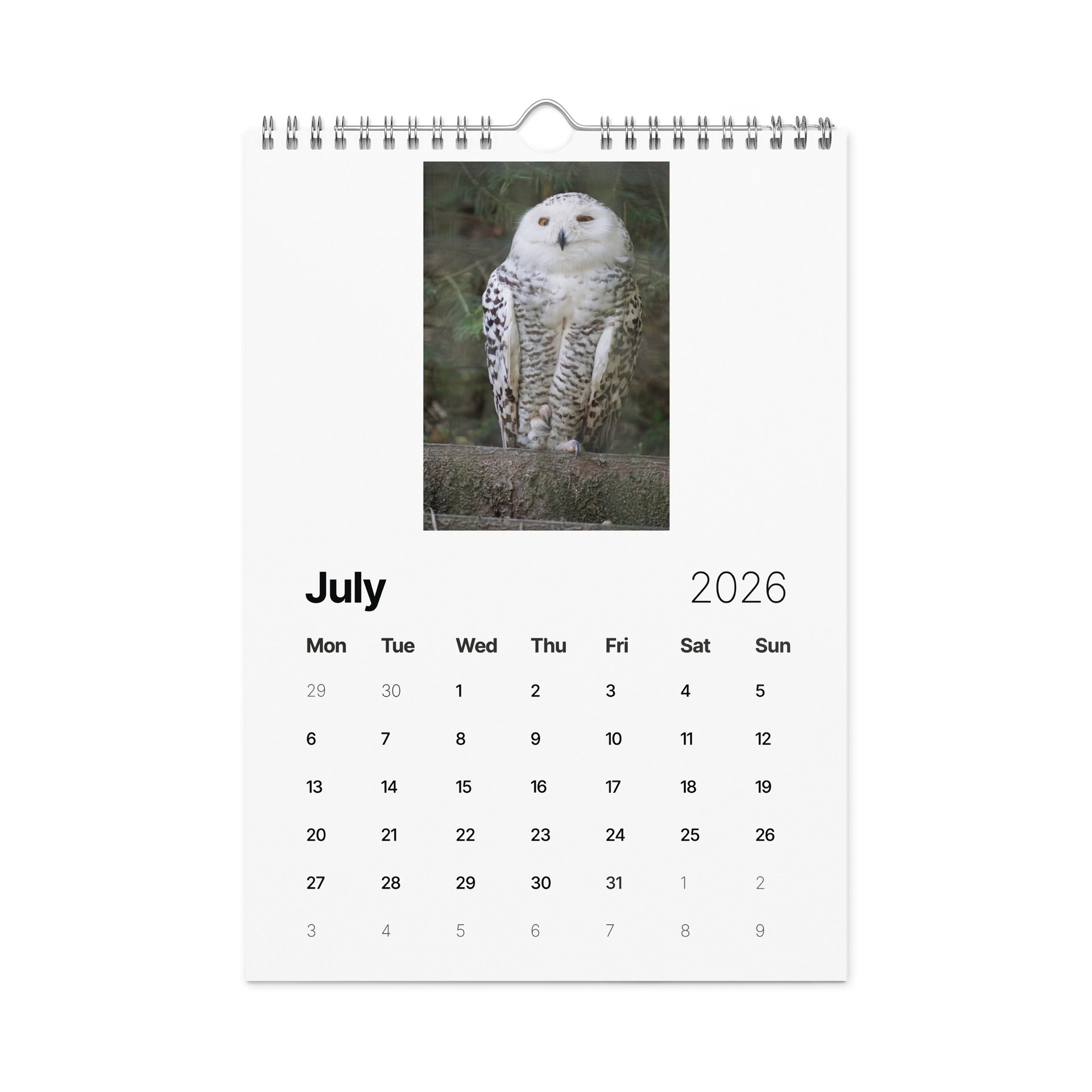 One Year, Twelve Animals: ESE 2026 Wall Calendar product image (7)