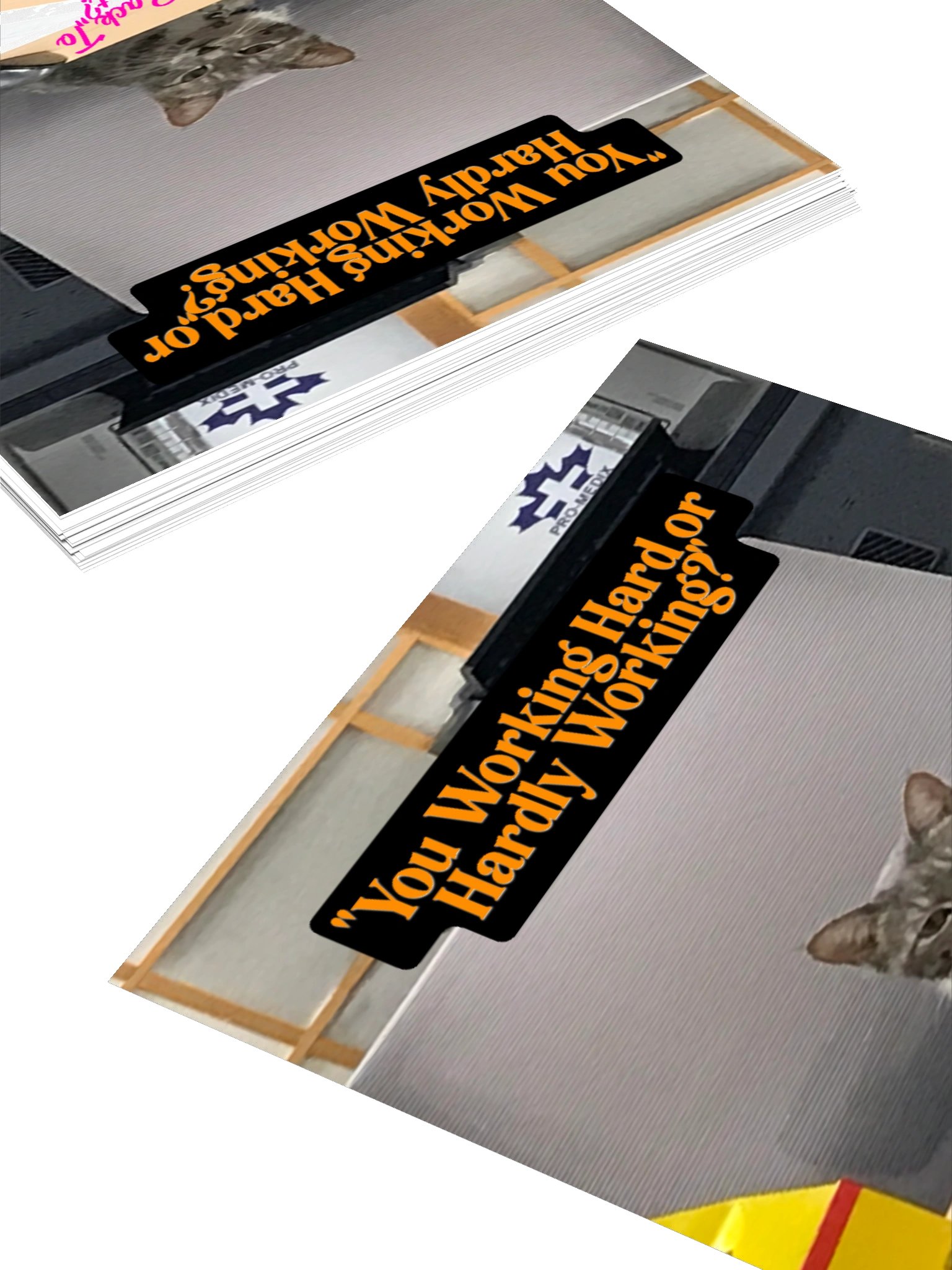Hard Working Office Cat Stickers product image (11)