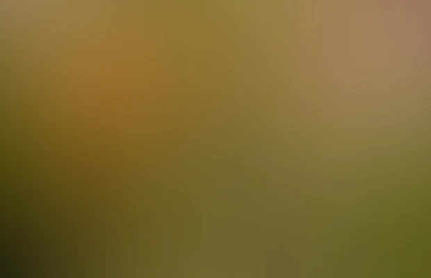 Audio thumbnail background