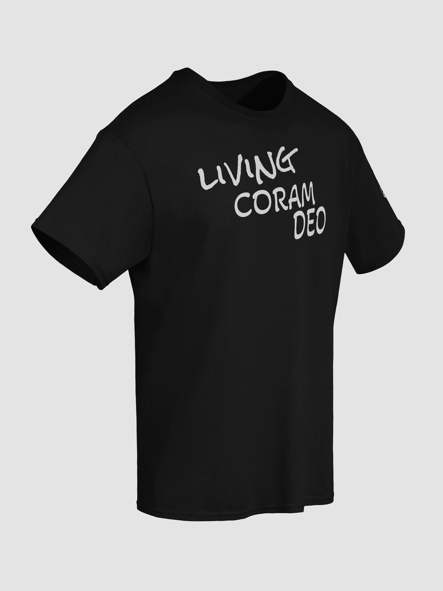Living Coram Deo product image (65)