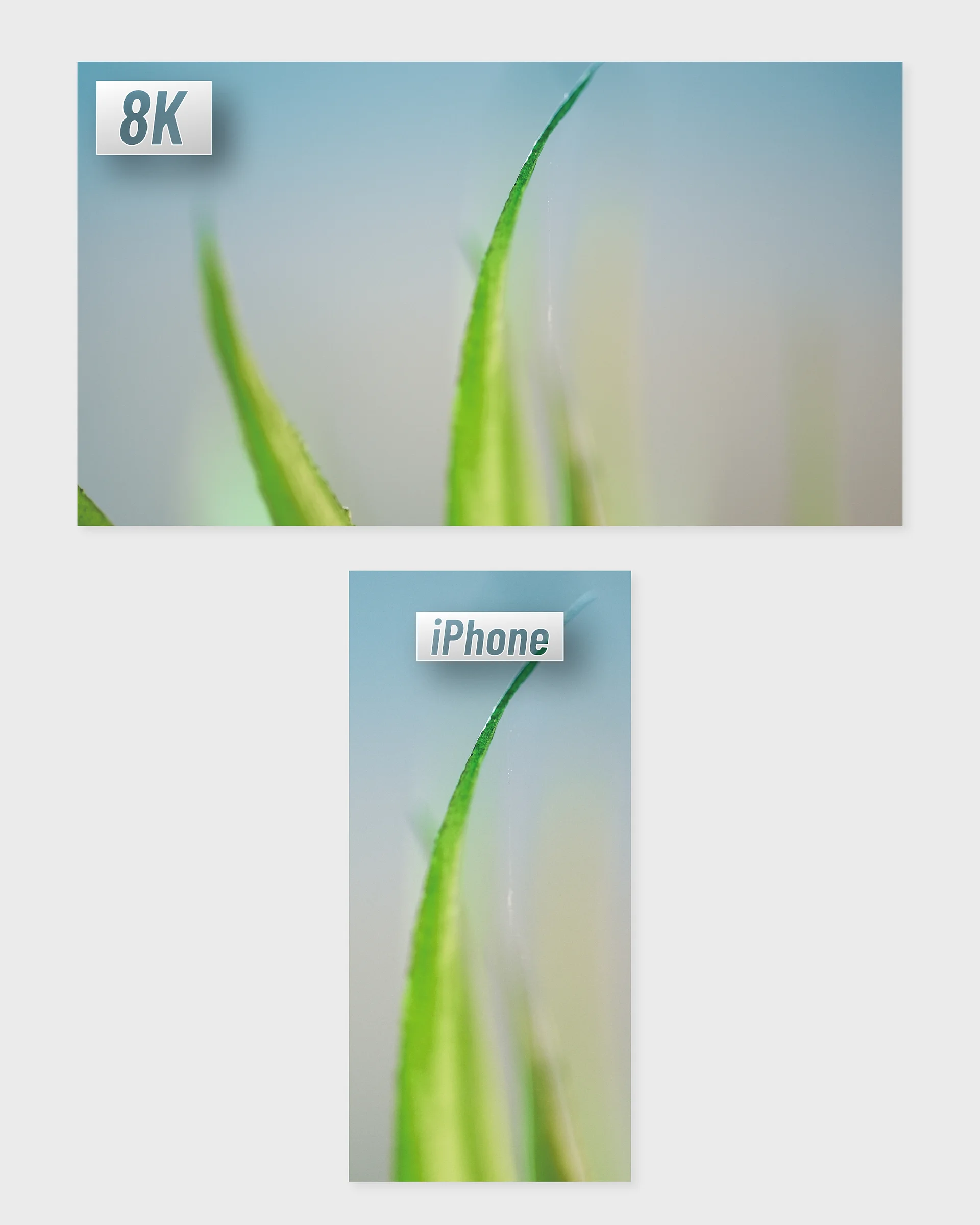 Up Close 8K Wallpaper Pack product image (5)