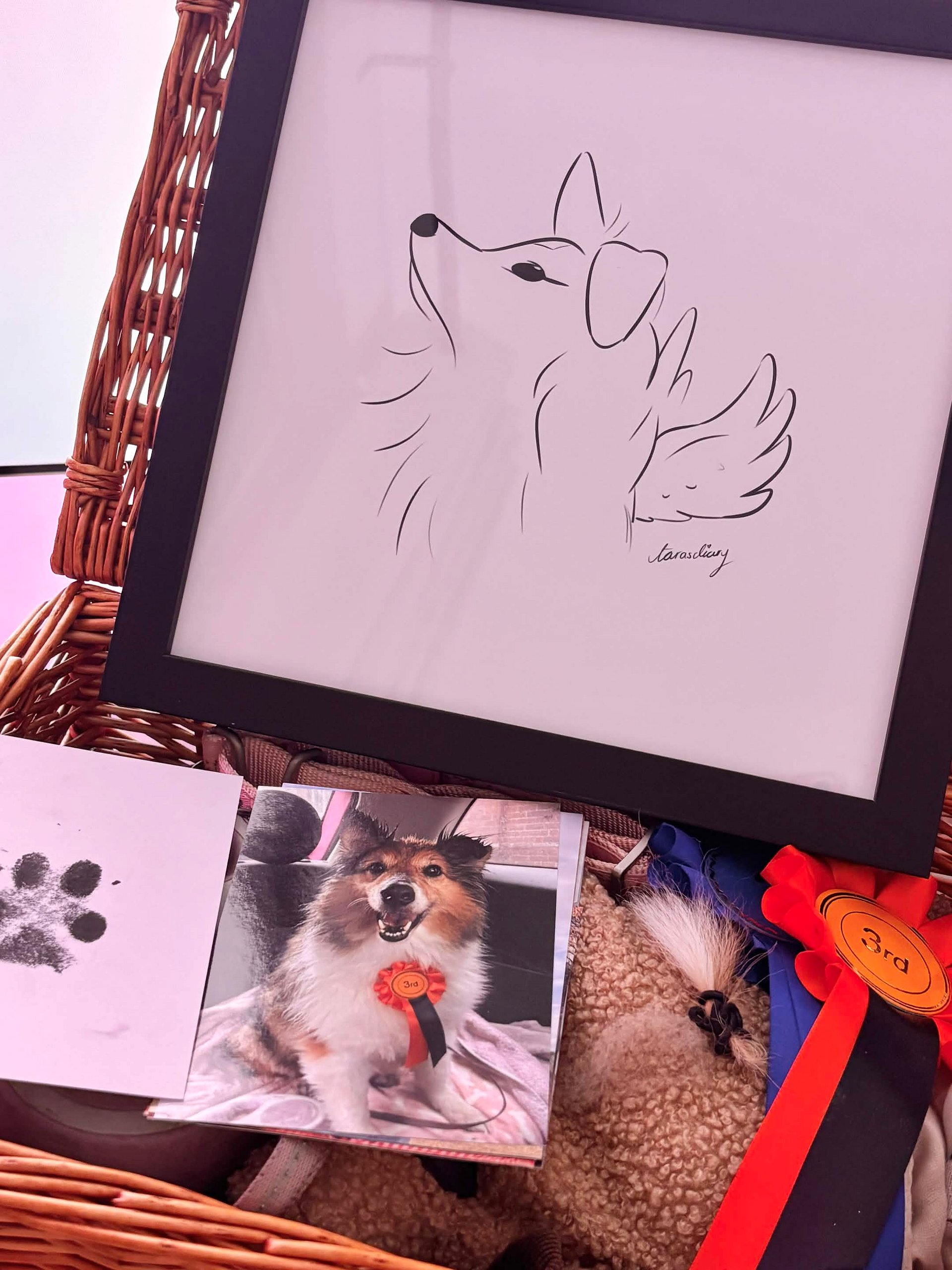 The Angel Sheltie - Framed Print product image (2)