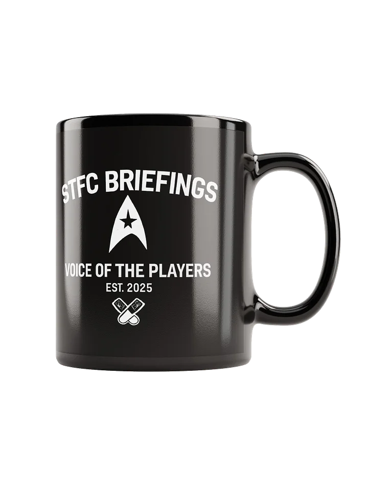 STFC Briefings EST Mug product image (1)