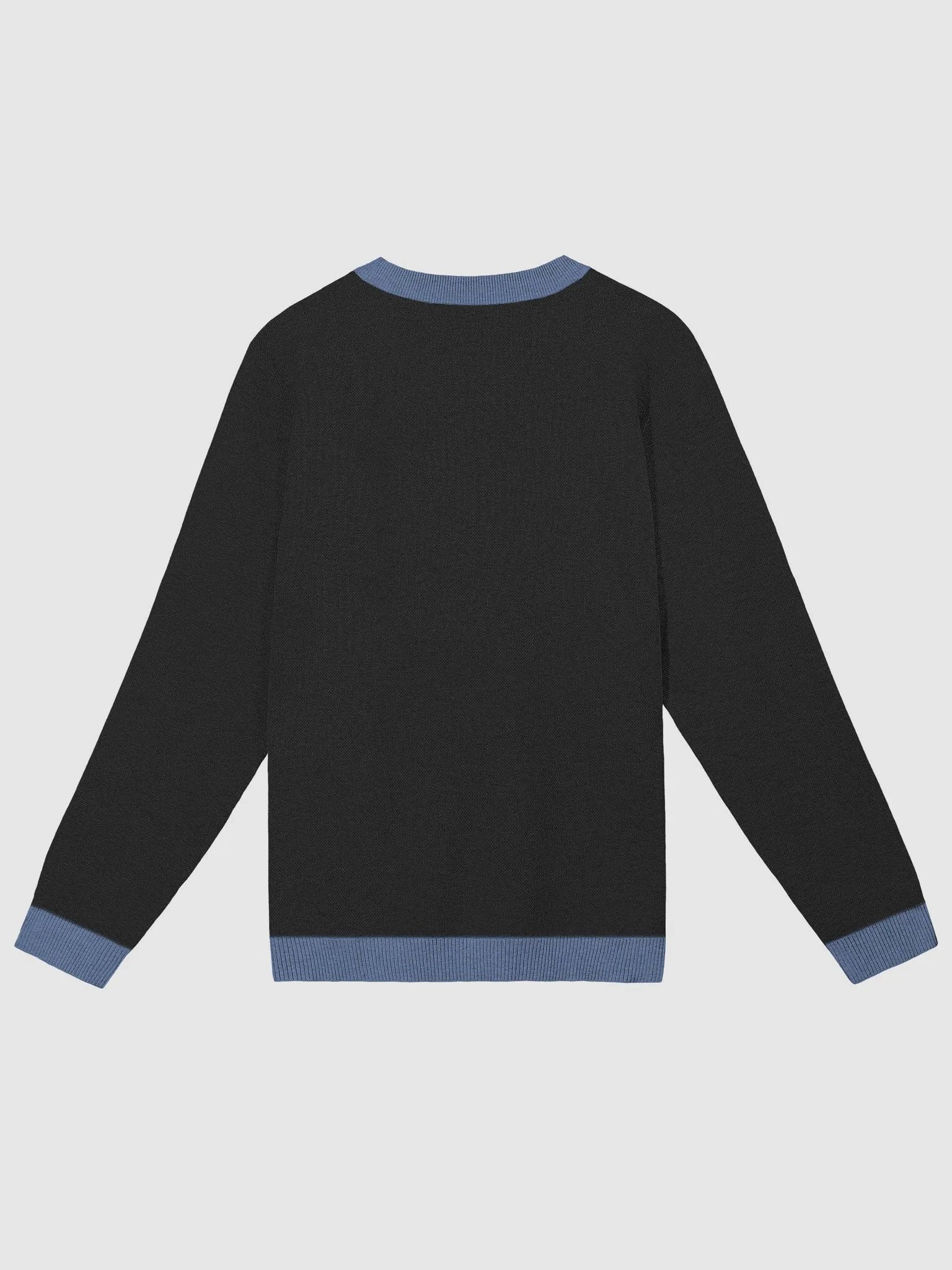 Raid Train Knit Crewneck Sweater product image (2)