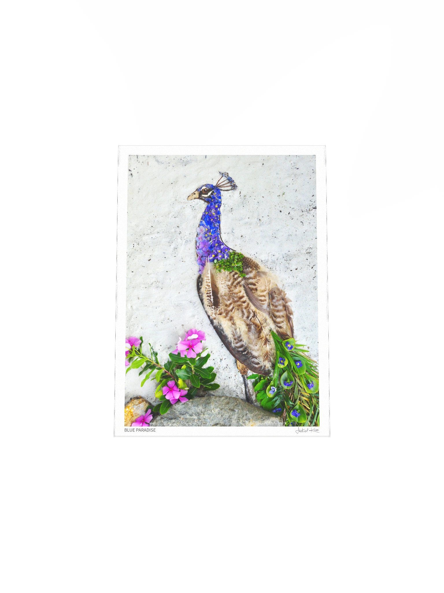 BLUE PARADISE | Fine Art Print product image (5)