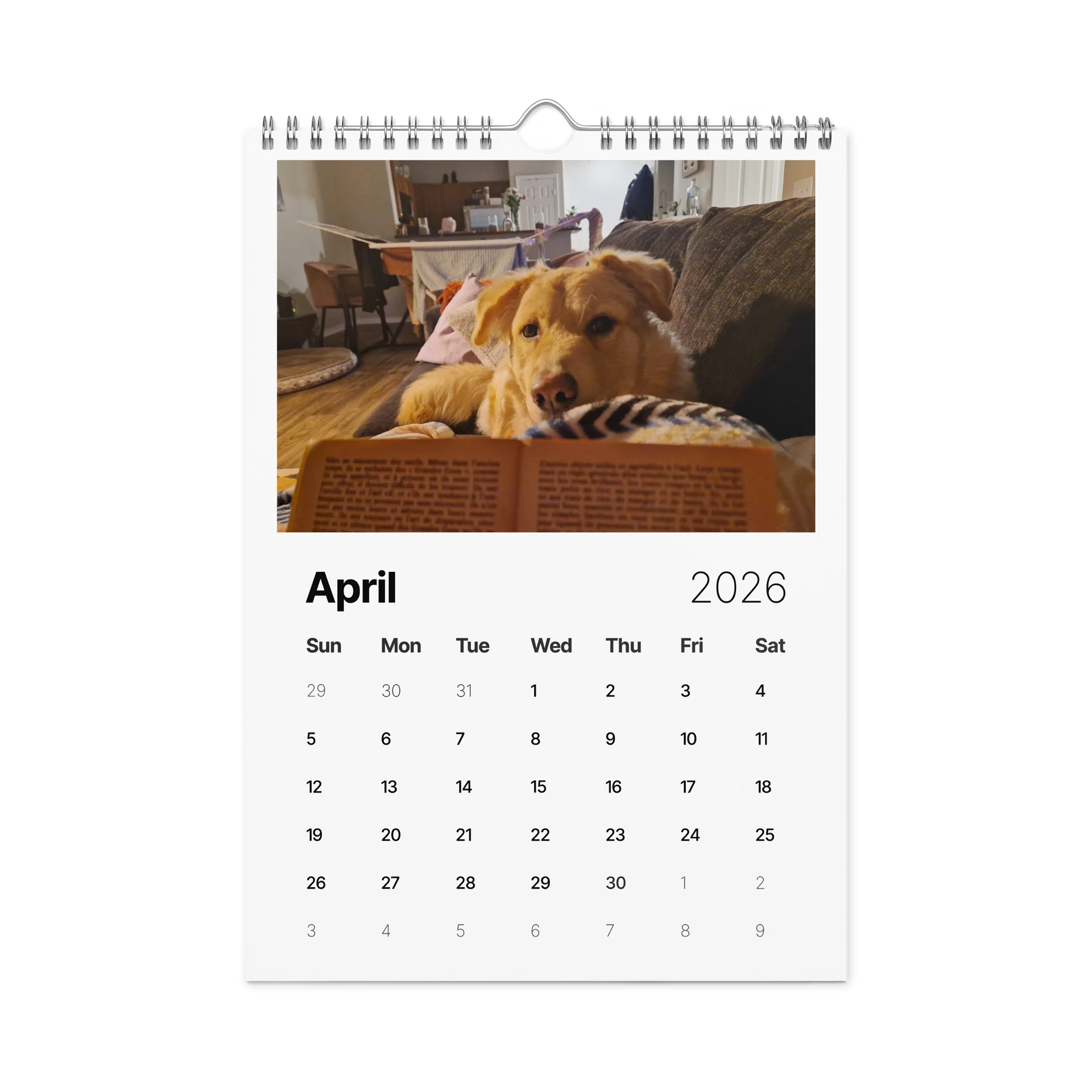 Milo's Life 2026 Wall Calendar product image (6)