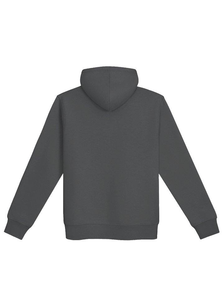 GUN RIGHTS ARE HUMAN RIGHTS V2 | Hoodie product image (2)