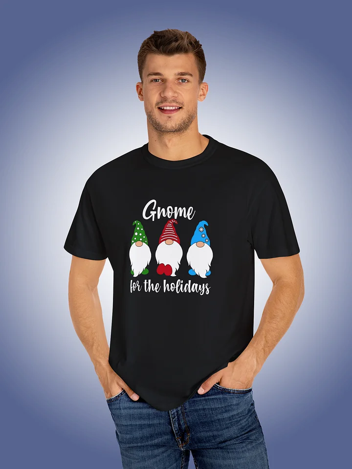 Gnome For The Holidays product image (1)