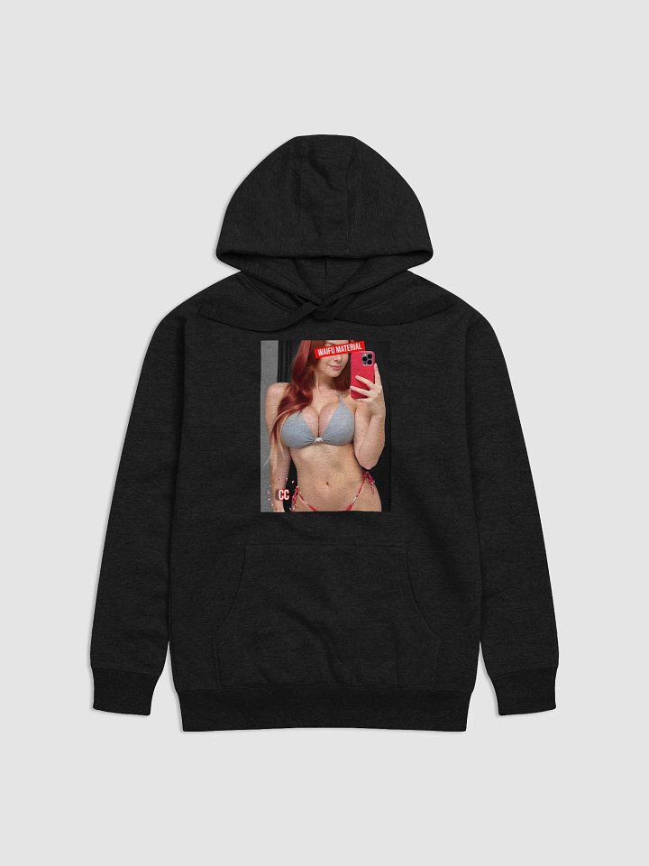 Colored Waifu Material 2025 Hoodie product image (1)