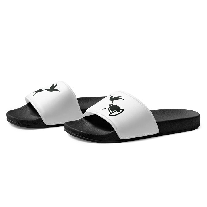 Hummingbird Haven Slides product image (2)