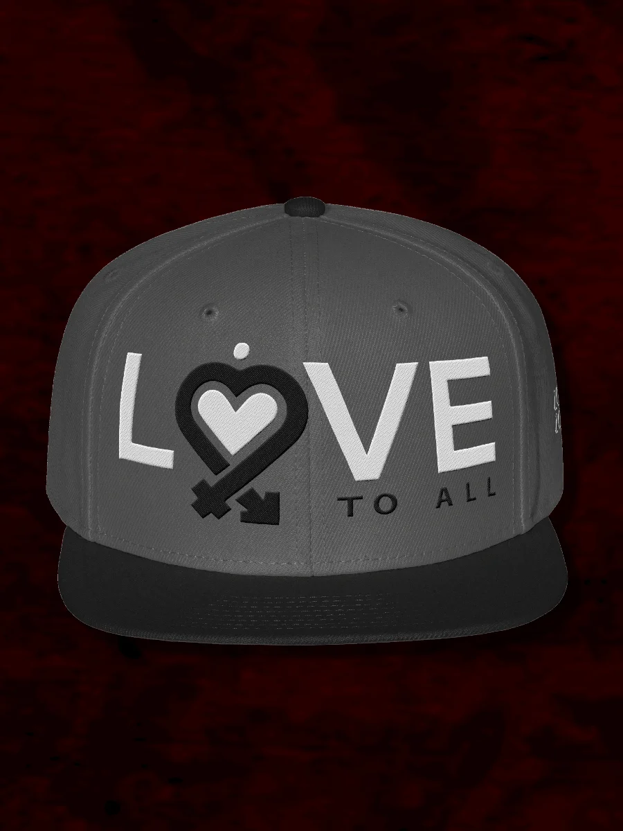 L2A Embroidered Snapback Hat product image (1)