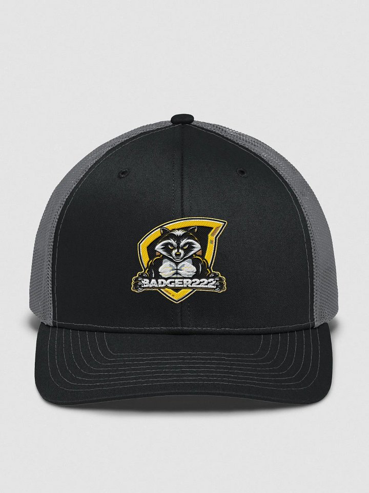 Badgers Hat product image (1)