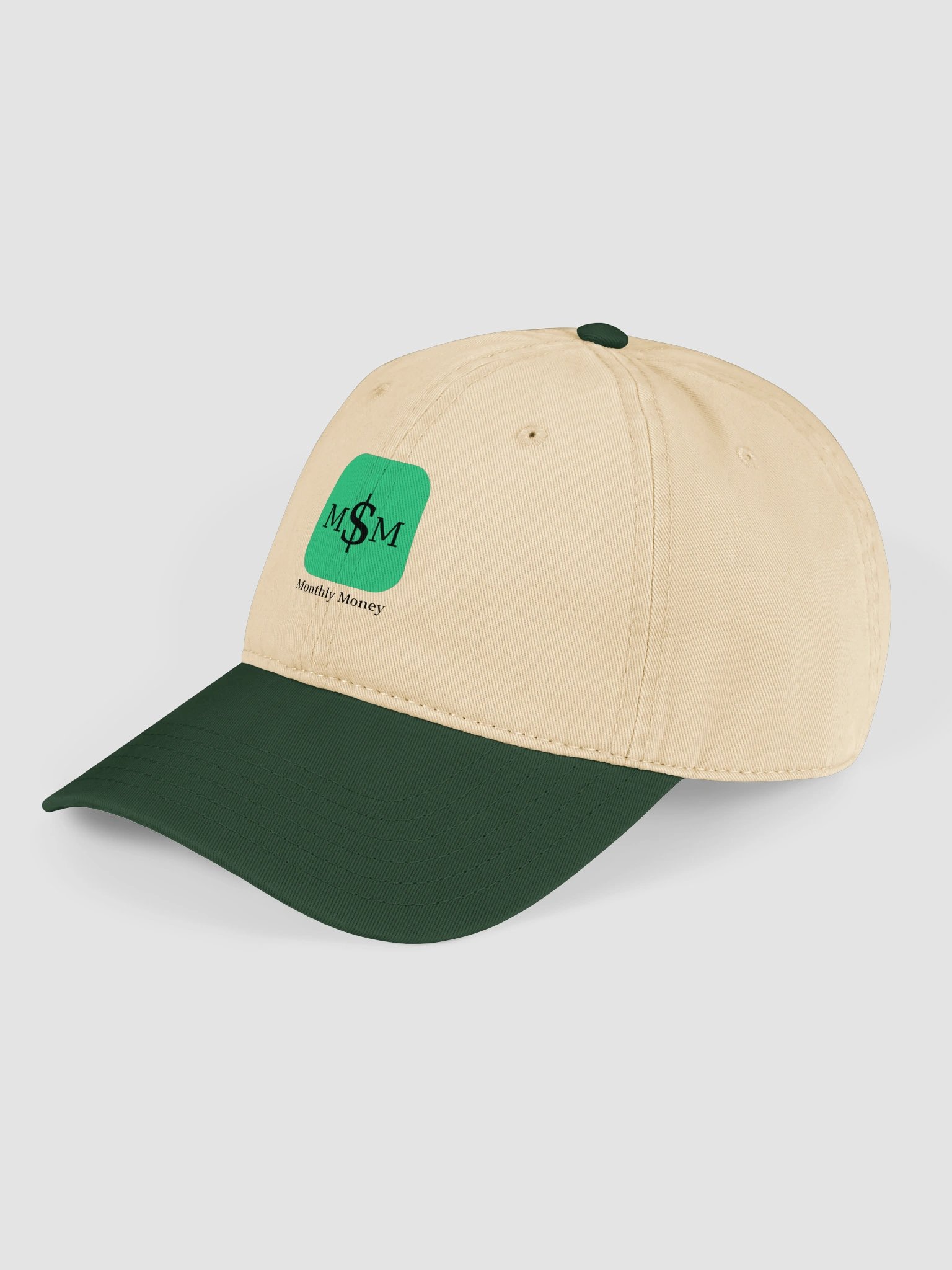 Monthly Money App Basic Hat product image (12)