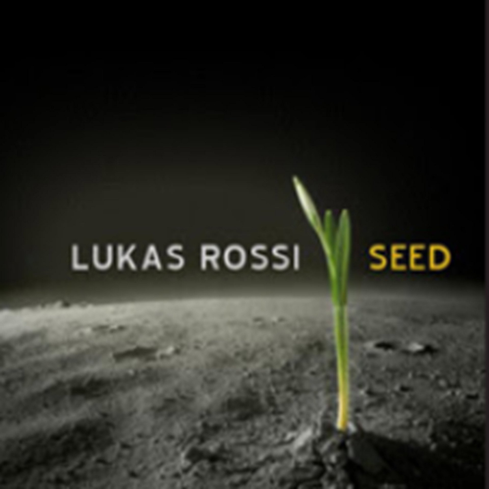 Seed Album product image (1)