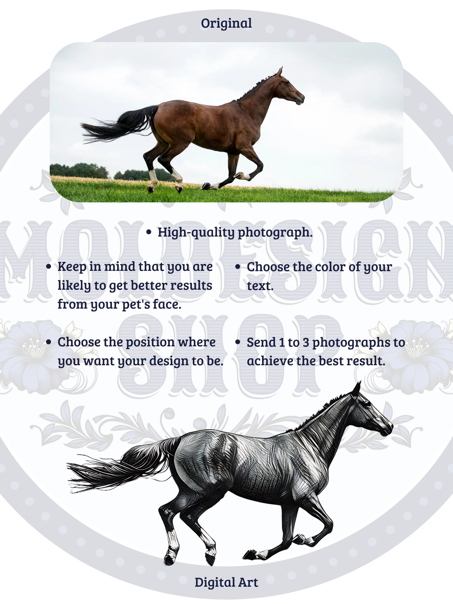 YOUR HORSE! / T-SHIRT WITH PERSONALIZED NAME product image (4)