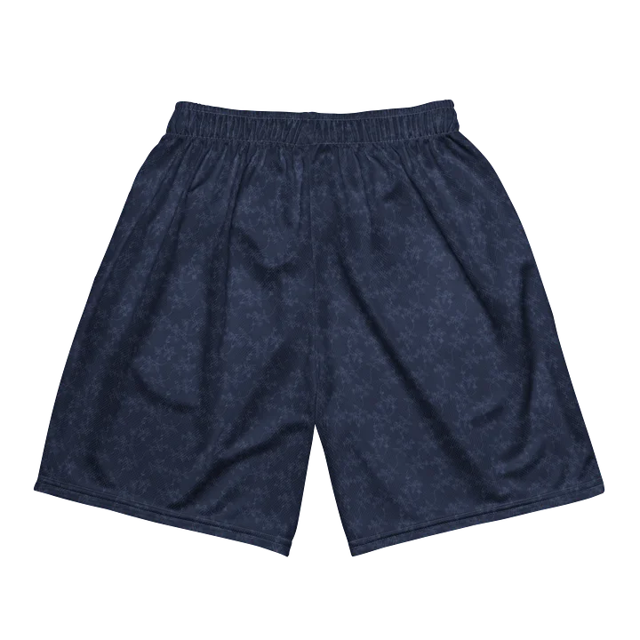 Maribor Ancient Vines FC Home Shorts product image (2)