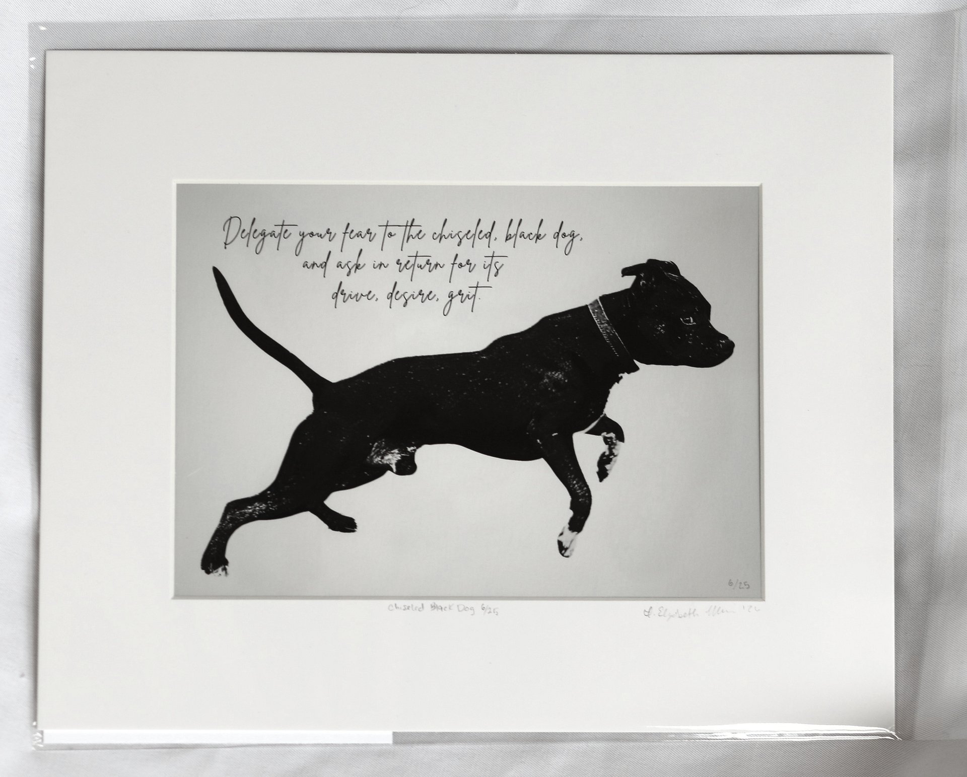 Chiseled Black Dog Fine Art Print: American Pit Bull Terrier Giclée, Signed Limited Edition product image (2)