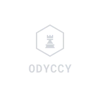 DJ Odyccy Store