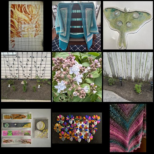 May 2026 brought a couple of new crafts for me - watercolour painting name tags for my Lily plants and a Hexagon Cardigan I h...