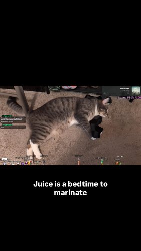 https://twitch.tv/gojima_ghost

#twitch #twitchclips #cats