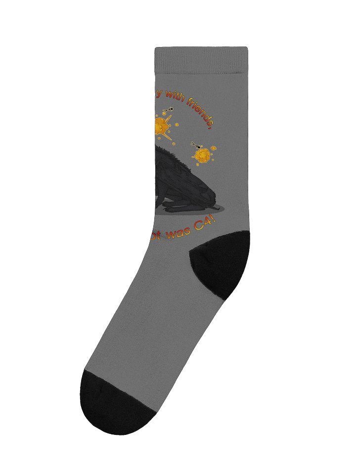 I wanted to play with friends product image (1)