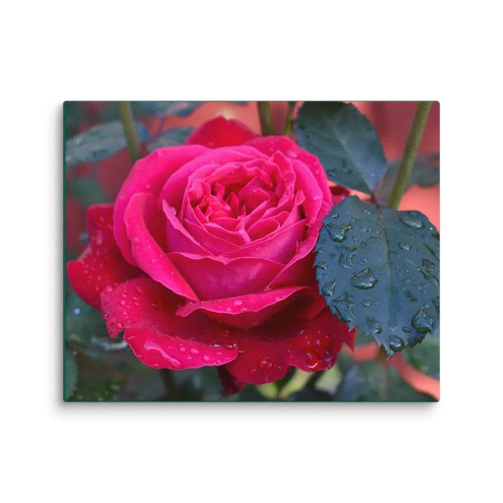 Canvas Rose of Heart Raindrops product image (3)