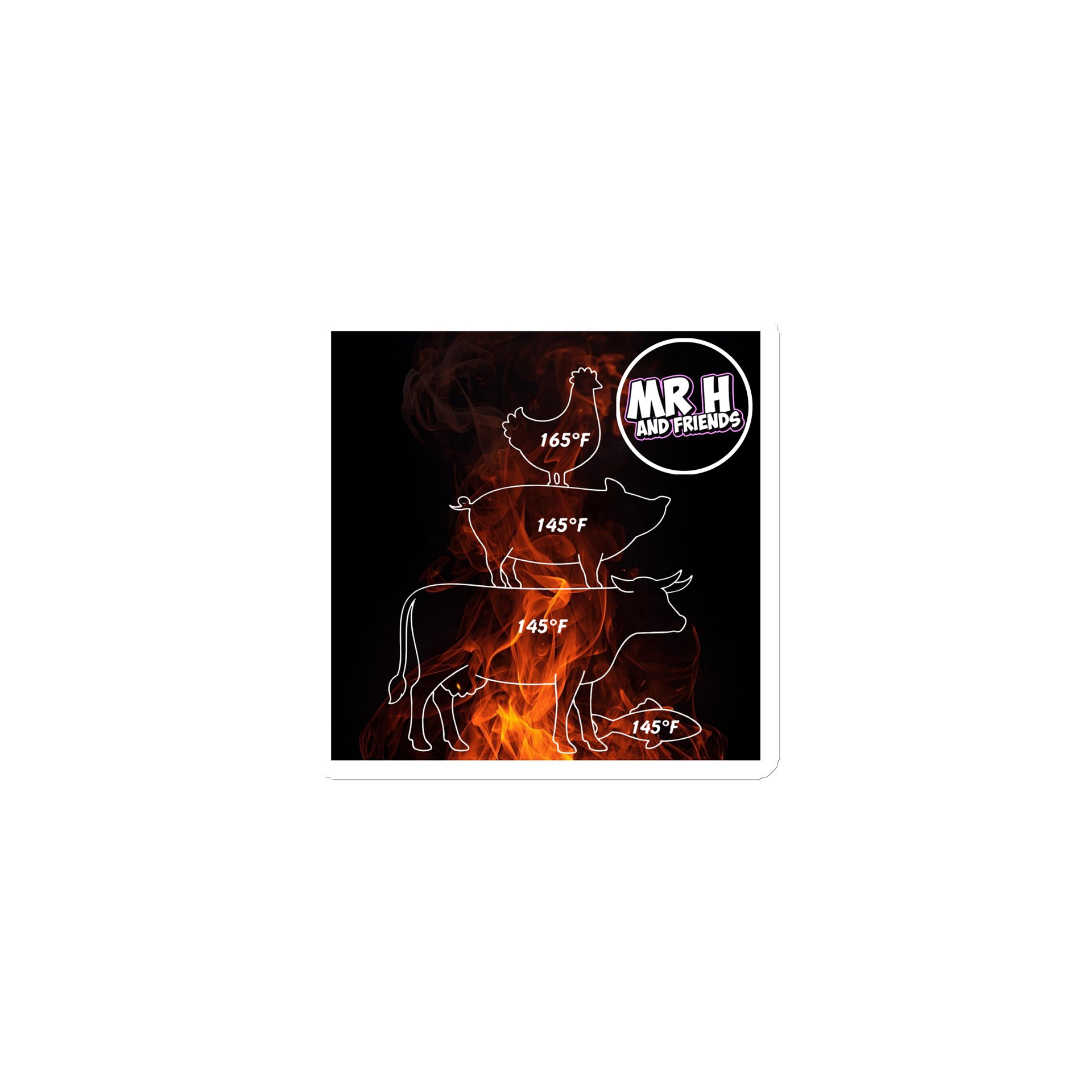 Flames Magnet - USDA Safe Internal Temps product image (1)