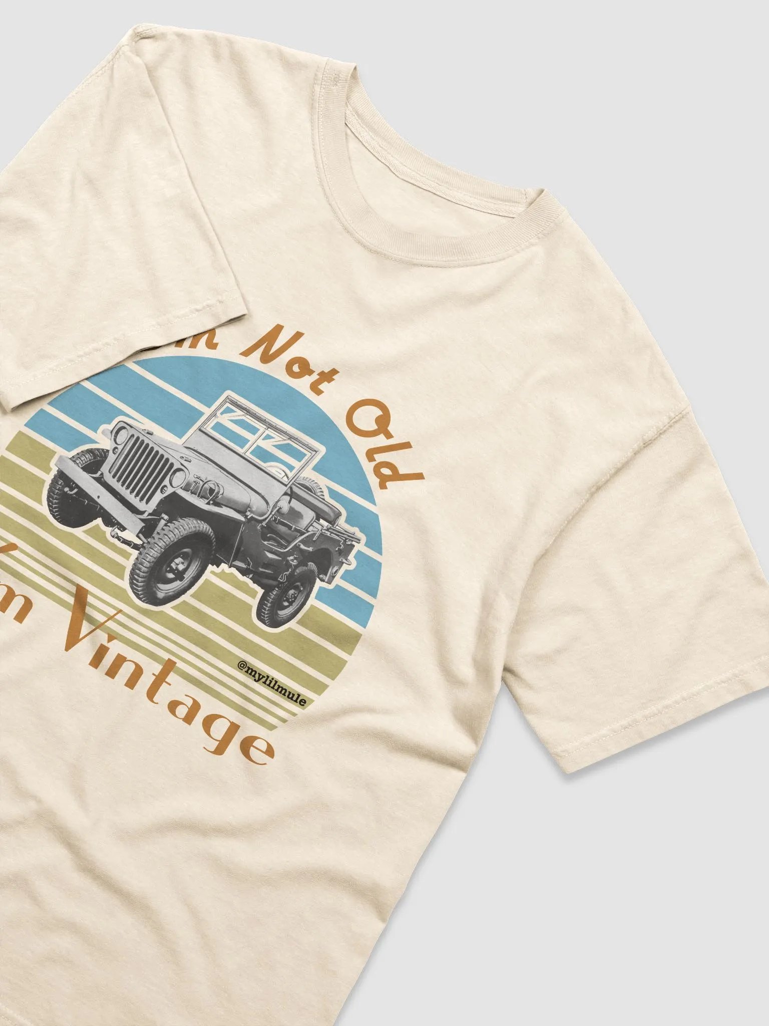Heavyweight T-Shirt (Willys) product image (3)