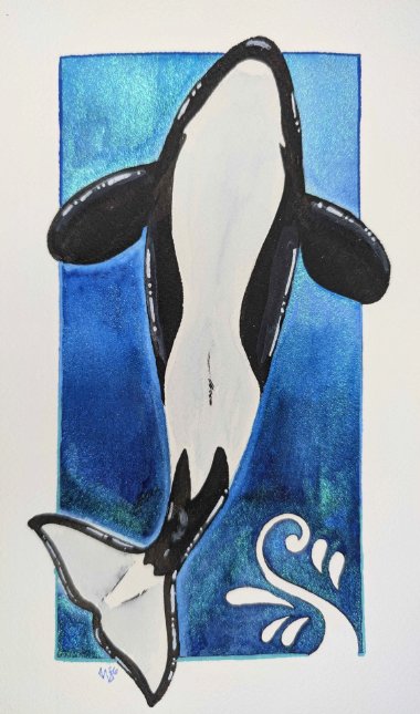 Orca Underside product image (1)