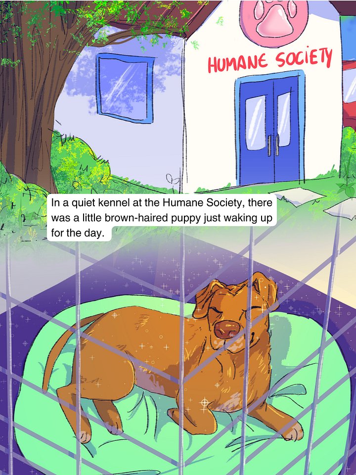 Belle the Dog eBook product image (2)