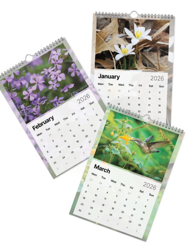 2026 Wall Calendar product image (2)