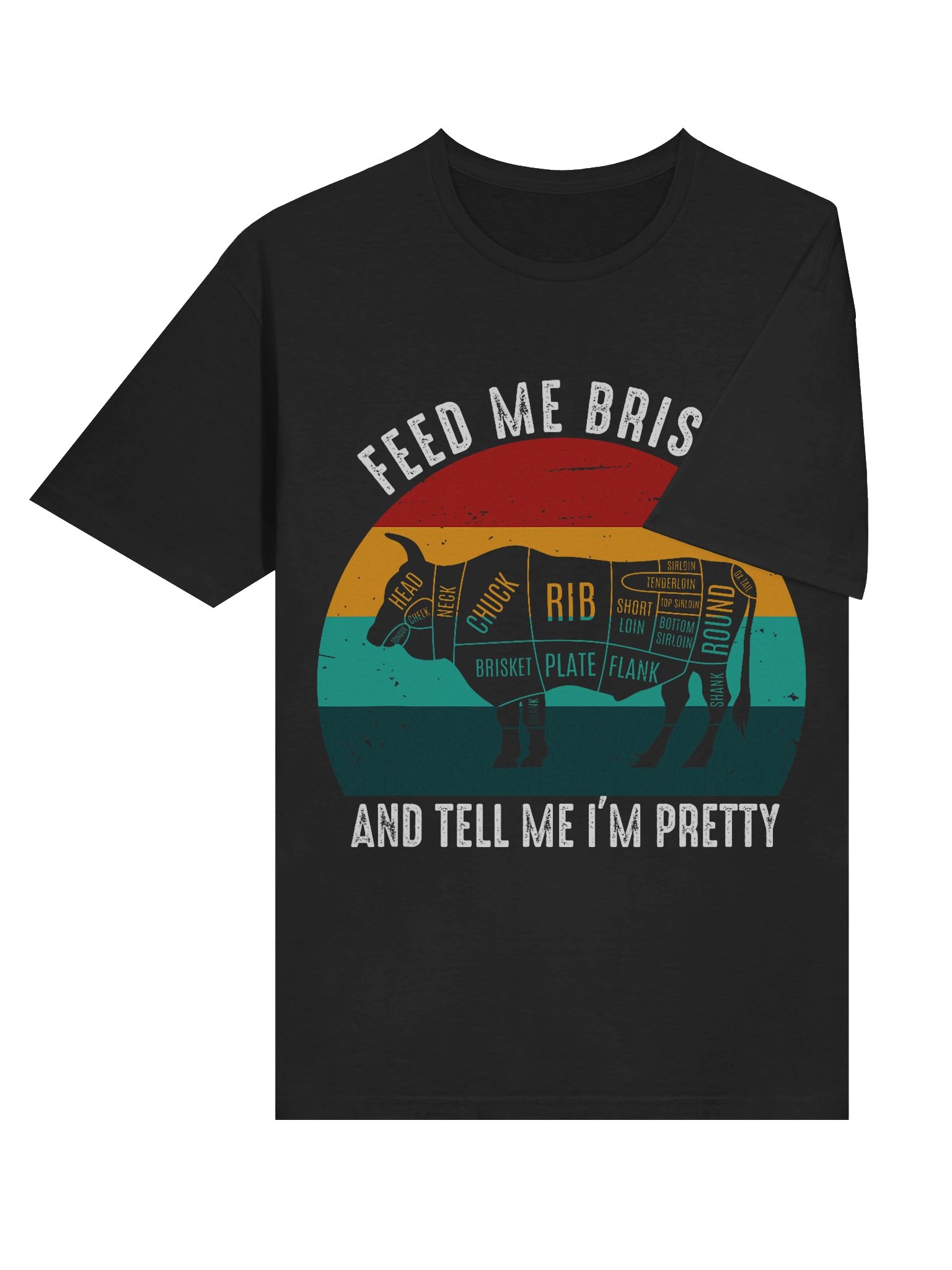Feed Me Brisket and Tell Me I’m Pretty (Retro Sunset) – Gildan Softstyle Unisex T-Shirt product image (4)