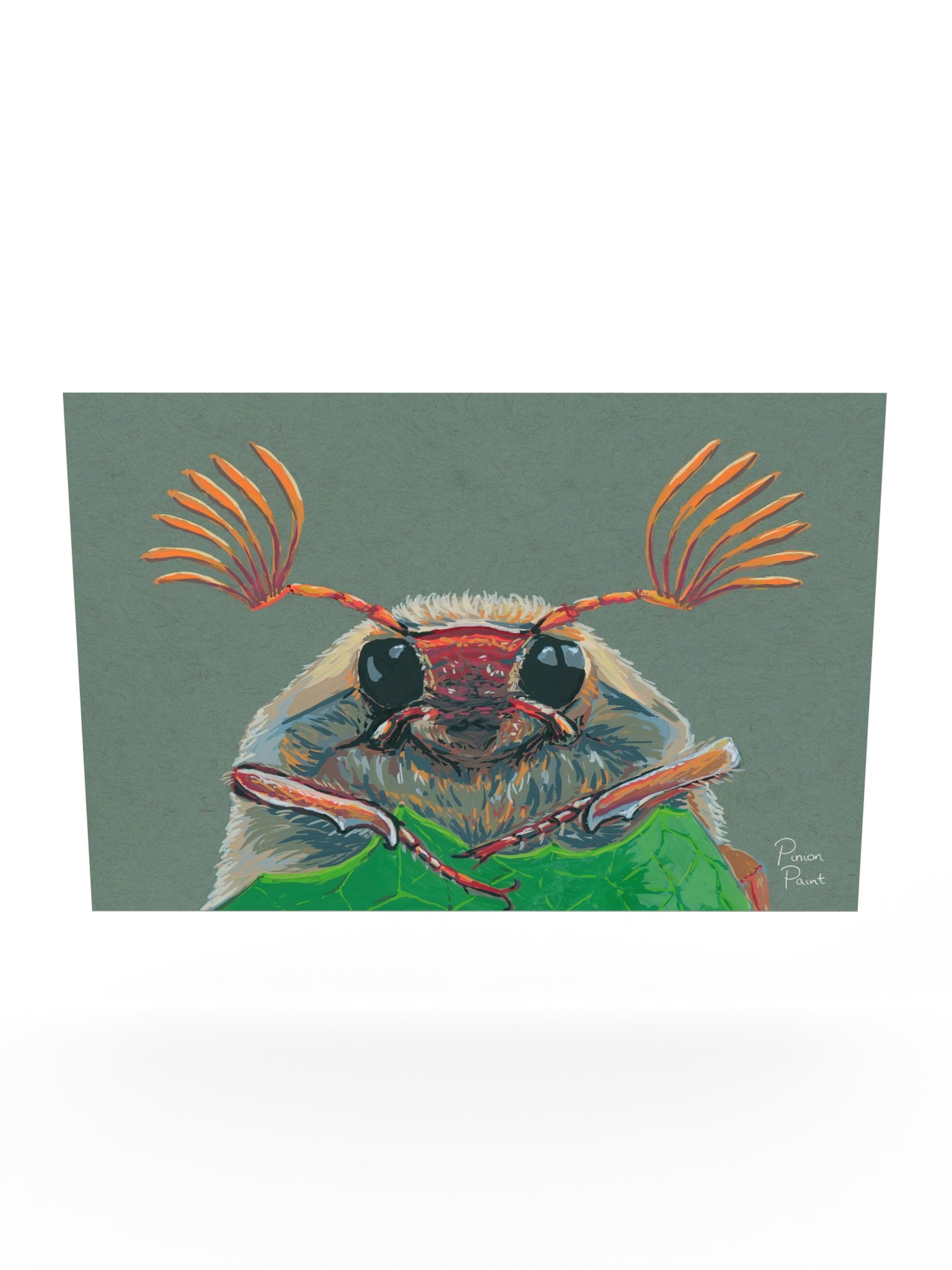 Cockchafer print product image (5)