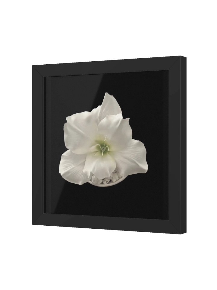 Purifying Flower product image (19)