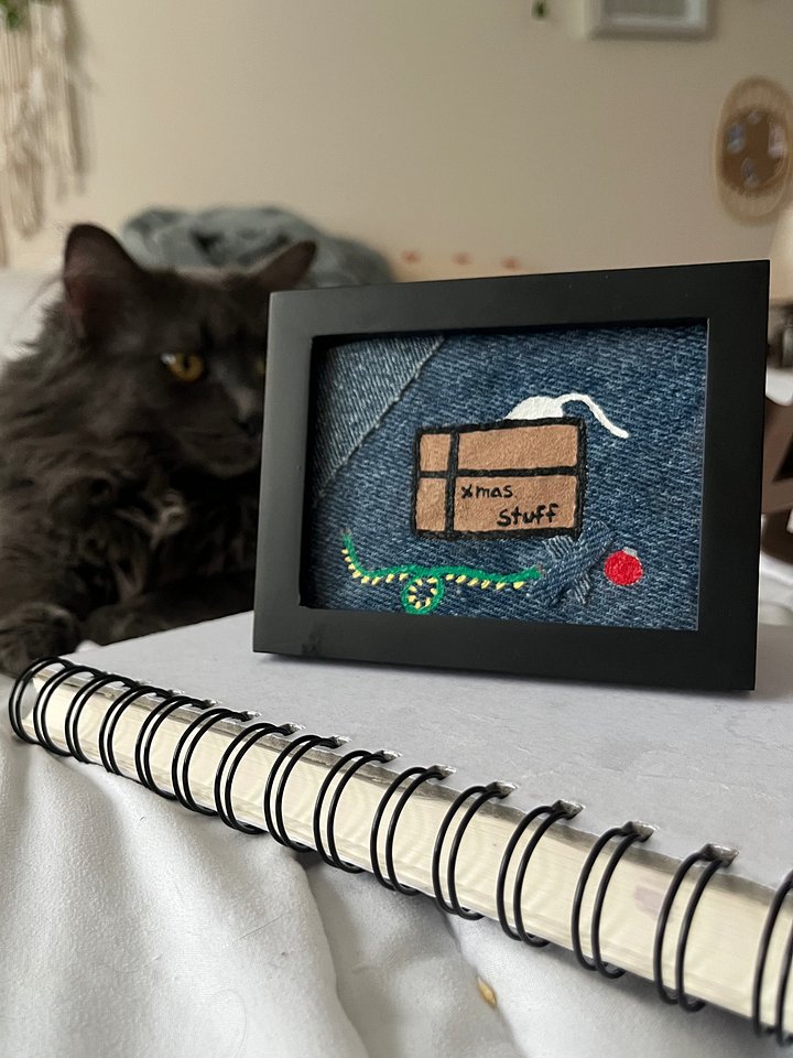 Cat In the Xmas Box / 3x4 / NO GLASS product image (1)