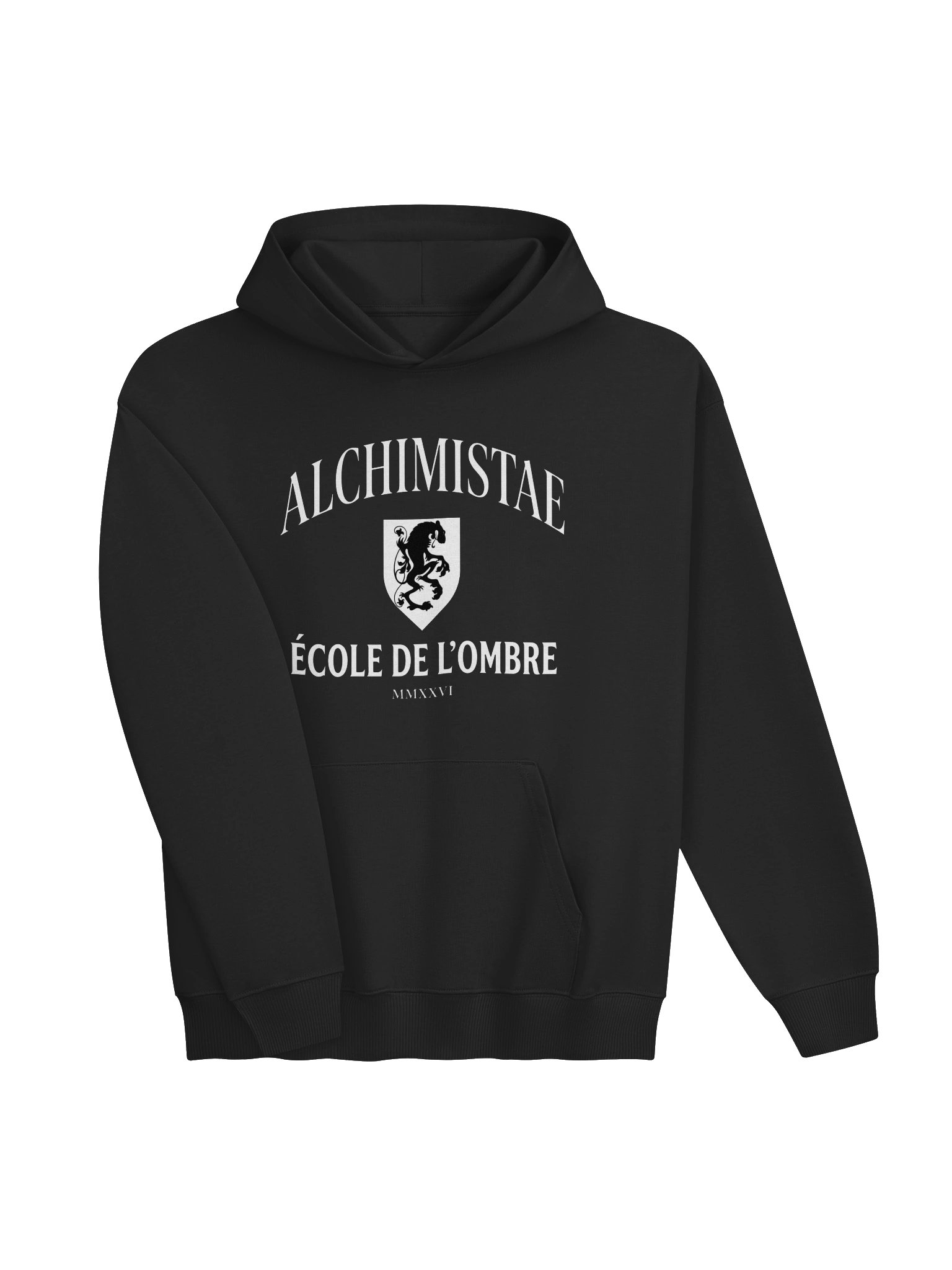 Hoodie mixte oversize Coton Bio Poids Lourd – ÉCOLE DE L'OMBRE product image (9)