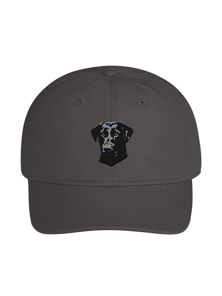 Lab dad cap product image (1)