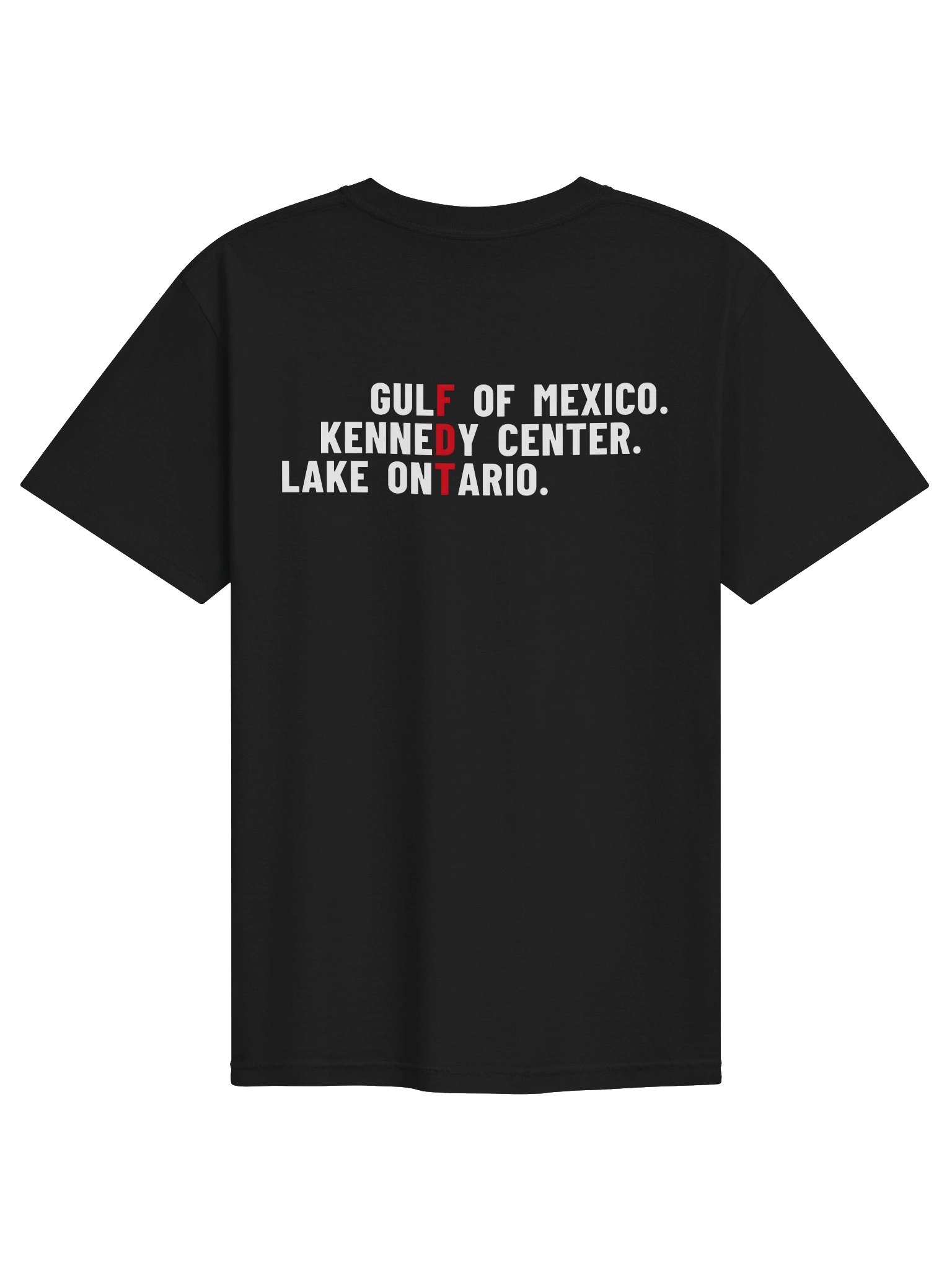 FDT Emblem Tee product image (17)