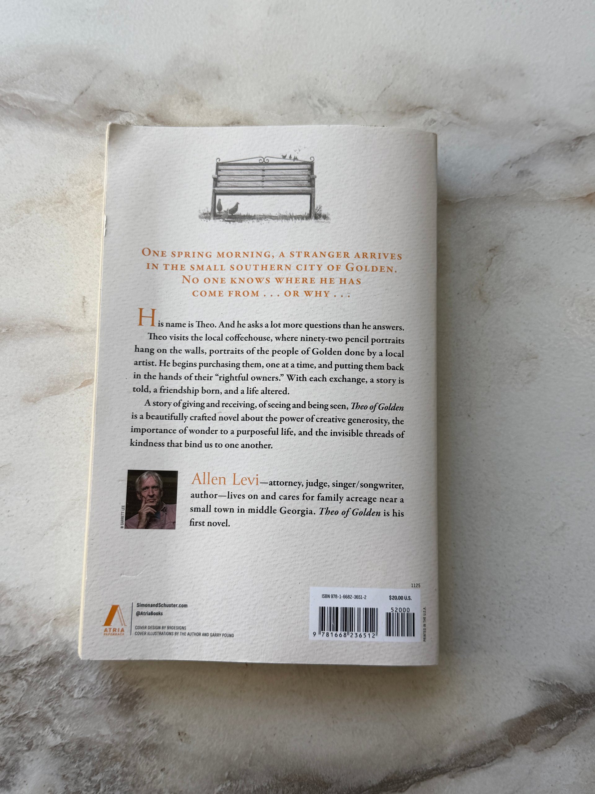 Theo of Golden | Allen Levi | Atria Paperback | New York Times Bestseller product image (4)