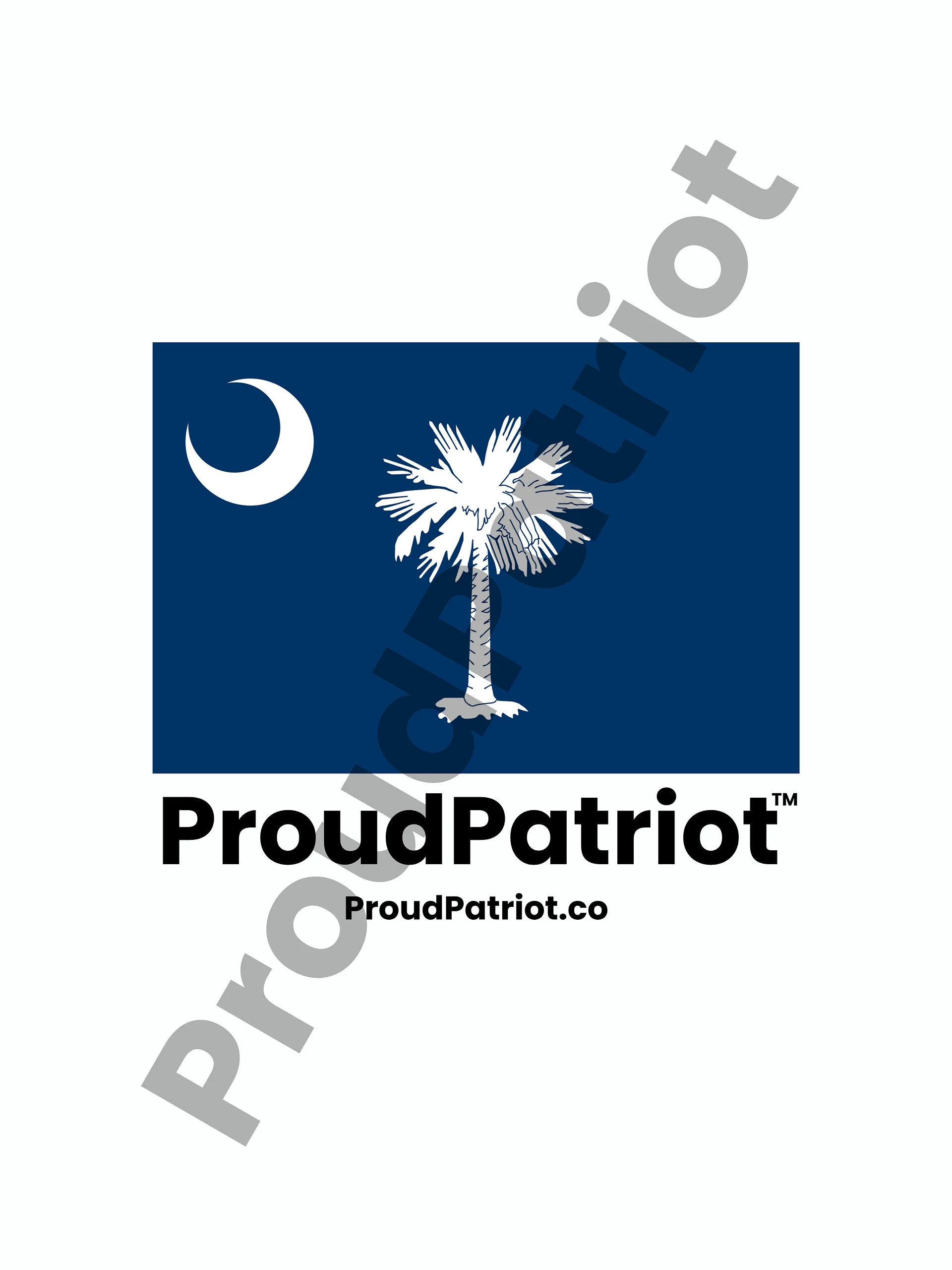 South Carolina Proud Screensaver product image (1)