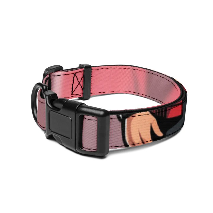 animal collar product image (2)